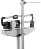 Seca 700 - Mechanical column scale with eye-level beam