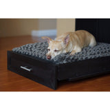 New Age Pet ecoFLEX Murphy Style Dog Bed with Memory Foam Cushion