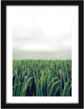 Poster Hub Feng Shui Wood Rice Field Growth Expansion And Vitality Art Decor