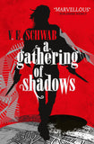 A Gathering of Shadows: 2 Paperback