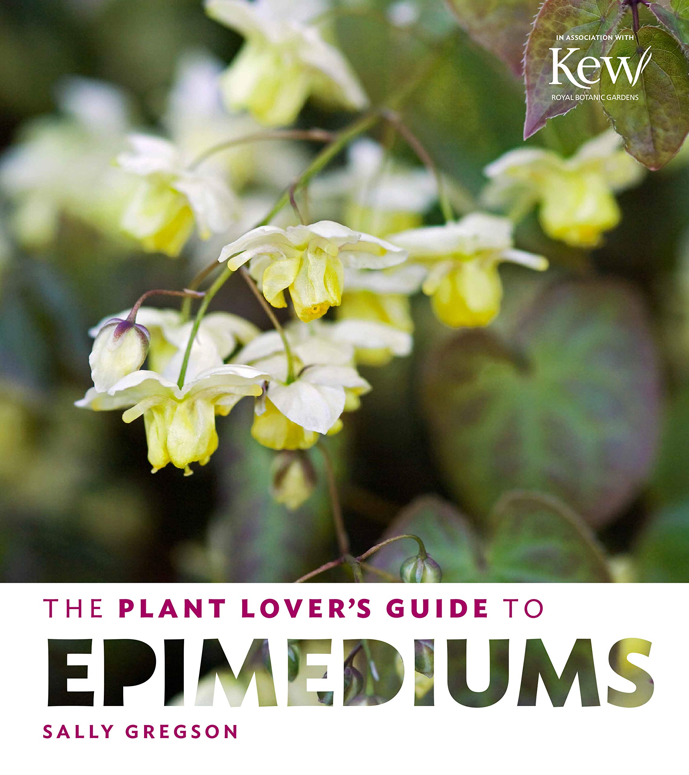 SALLY GREGSON HARDBACK BOOK-PLANT LOVER'S GUIDE TO EPIMEDIUMS