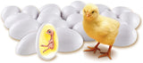 Learning Resources Chick Life Cycle Exploration Set
