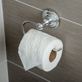 AmazonBasics ABBR802PC Traditional Euro Toilet Paper Holder Chrome