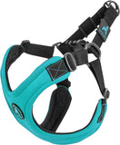 Gooby Escape Free Sport Harness Turquoise Small