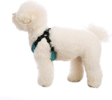 Gooby Escape Free Sport Harness Turquoise Small