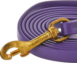 J&J Dog Supplies Biothane Dog Leash  1/2 Wide by 6' Long  Purple
