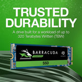Seagate ZP500CM3A001 BarraCuda 510 Internal Solid State Drive 500GB